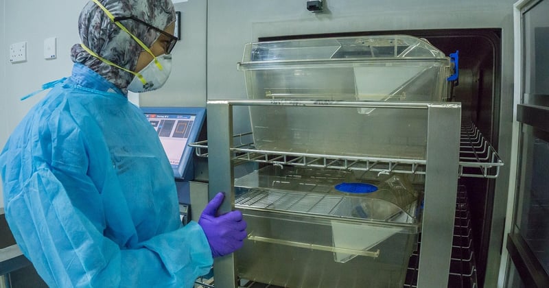 Protéger sa maison des feux de forêt : les bons réflexes pour prévenir les risques en zone habitée